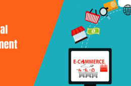 Ecommerce web portal system